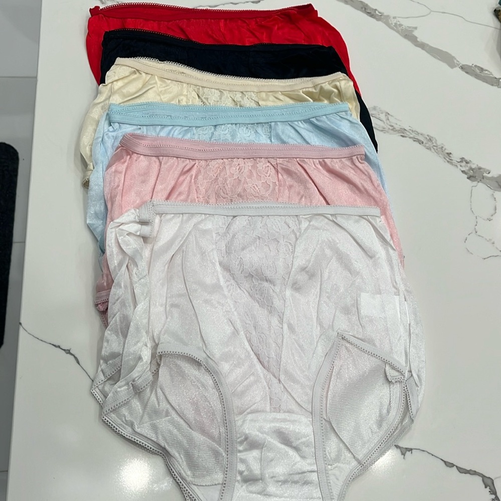 12-Pack Women’s Briefs Panties Nylon in 6 Colors